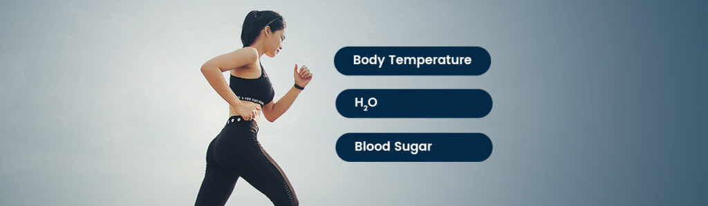 What is Homeostasis | Glyteine